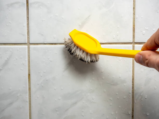 Best Basement Mold Remediation in West Peoria, IL