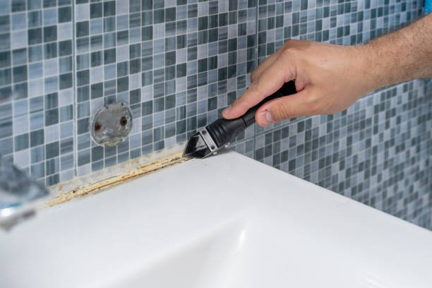 Reliable West Peoria, IL Mold Remediation Solutions